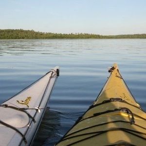 Meet your Posher, Jodi